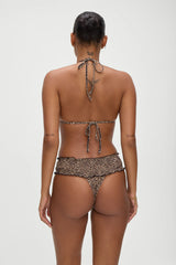 Jessup Halter Bikini Top - Baby Leopard